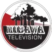 Mibawa TV kanal loqosu