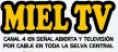 Senderlogo von Miel TV
