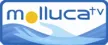 Molluca TV kanal logosu
