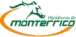 Monterrico TV kanal logosu