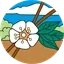 MPTV kanal logosu