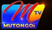 Mutongoi TV kanal loqosu