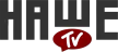 Nashe TV kanal logosu