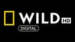 National Geographic Wild kanal logosu