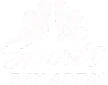 NBC Sports Bay Area Plus kanal logosu