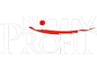 NDTV Profit channel logo