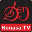 Nenasa TV channel logo