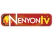 Nenyon TV kanal logosu