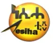 Senderlogo von Nesiha TV