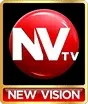 New Vision kanal logosu