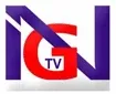 Senderlogo von NG TV