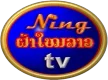 Senderlogo von Ning TV