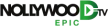 Nollywood TV Epic kanal logosu