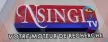Nsingi TV kanal logosu
