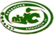 NTV IC kanal loqosu