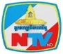 NTV channel logo