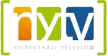NYTV kanal logosu