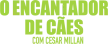 O Encantador de Caes kanal logosu