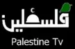 Senderlogo von Palestine Satellite Channel