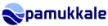 Pamukkale TV kanal logosu