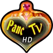 Panc TV kanal logosu