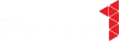 Pervyy Tulskiy kanal logosu