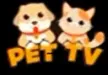 Pet TV kanal logosu