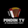 Pindin TV channel logo