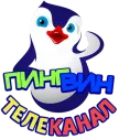 Pingvin kanal logosu
