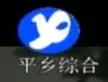Pingxiang TV News Channel kanal logosu