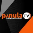 Pinula TV Canal 42 kanal logosu