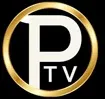 PTV Vienna kanal loqosu
