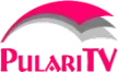 Pulari TV channel logo