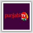 Punjabi TV kanal logosu