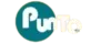 Punto TV Digital 40 kanal logosu