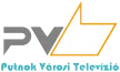 PVTV kanal logosu