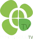 Quadrifoglio TV kanal logosu