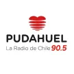 Radio Pudahuel kanal logosu