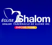 Radio Tele Shalom kanal loqosu