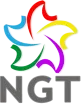 Rede NGT kanal logosu