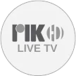 Senderlogo von RIK HD