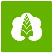 Senderlogo von Sabz TV