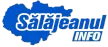 Salajeanul INFO kanal logosu