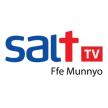 Senderlogo von Salt TV