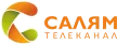 Salyam kanal logosu