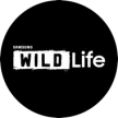 Samsung Wildlife kanal logosu