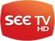 See TV kanal logosu