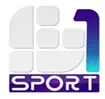 Shabab Sport 1 kanal logosu
