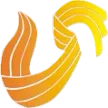 Shandong TV kanal logosu