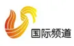 Shandong TV News Channel kanal logosu